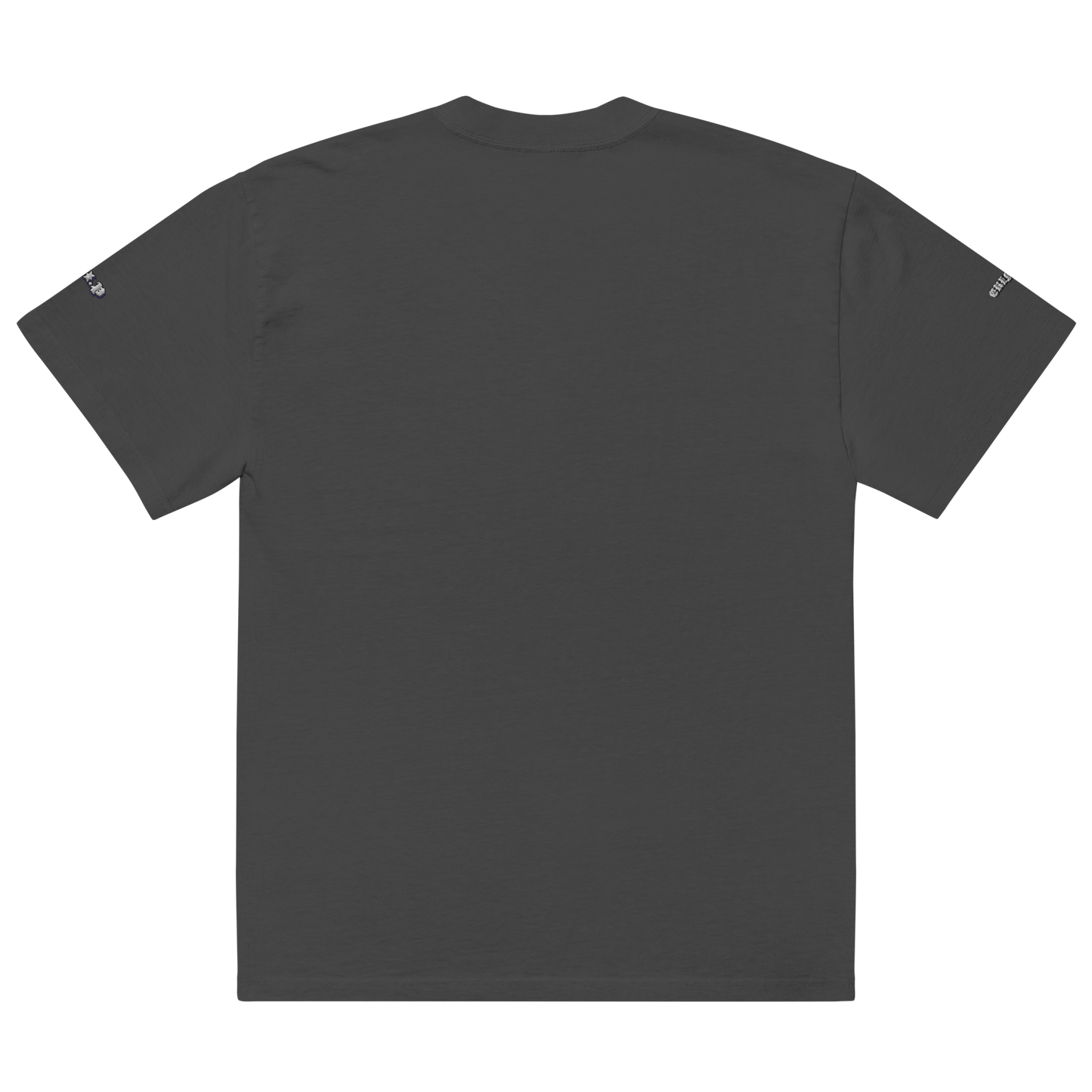 “What Are We Becoming?” Oversized Faded Tee
