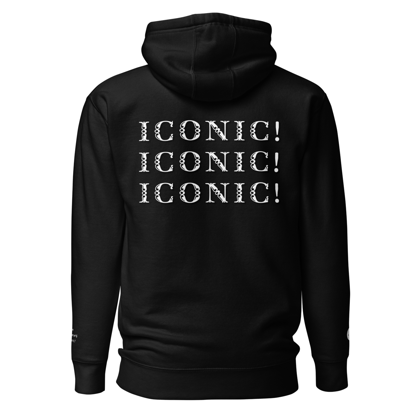 ”Becoming Iconic” Embroidered Hoodie