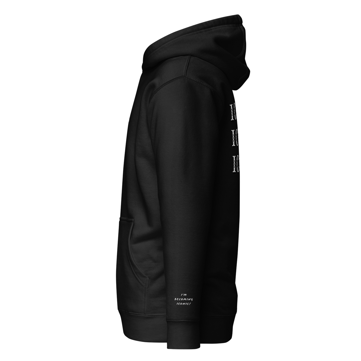 ”Becoming Iconic” Embroidered Hoodie