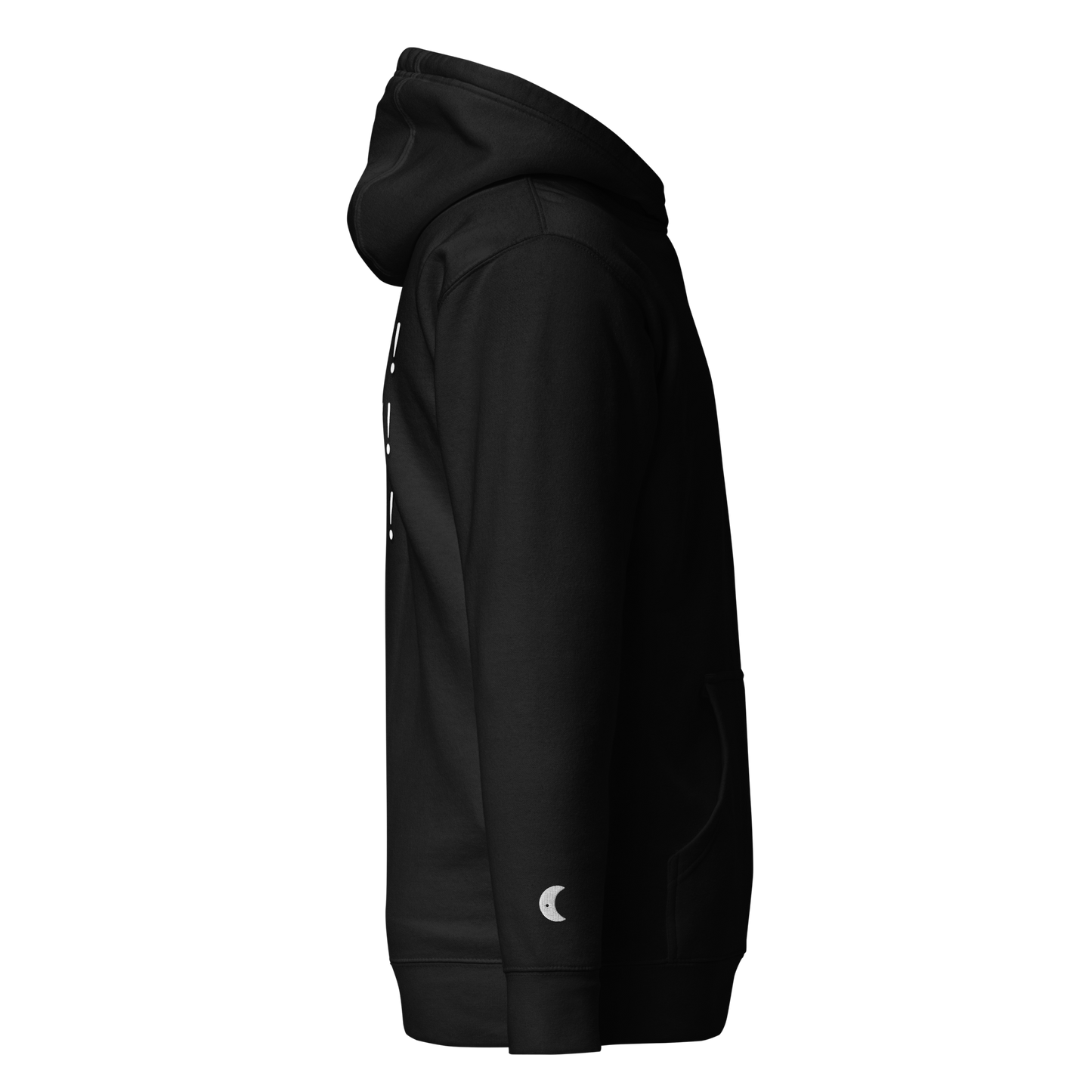 ”Becoming Iconic” Embroidered Hoodie