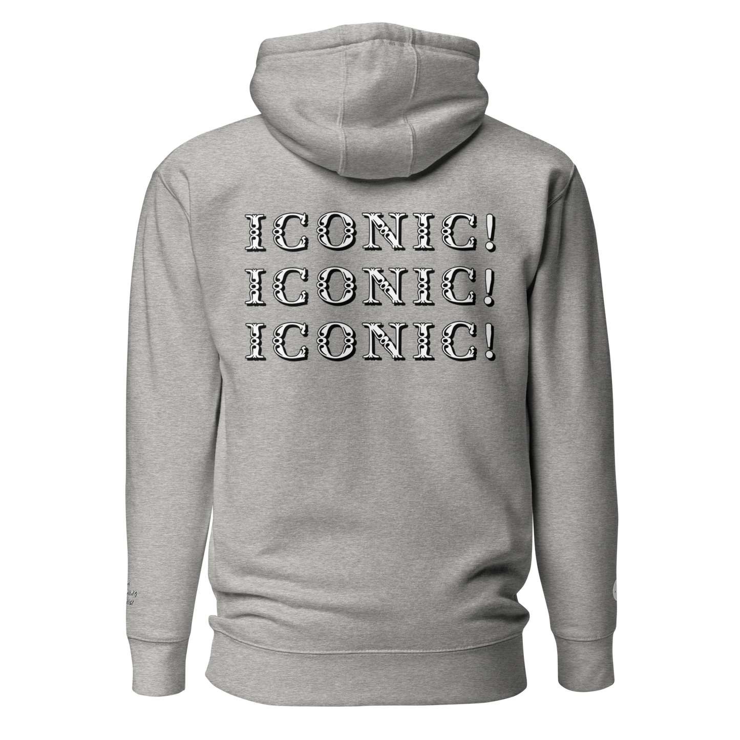 ”Becoming Iconic” Embroidered Hoodie