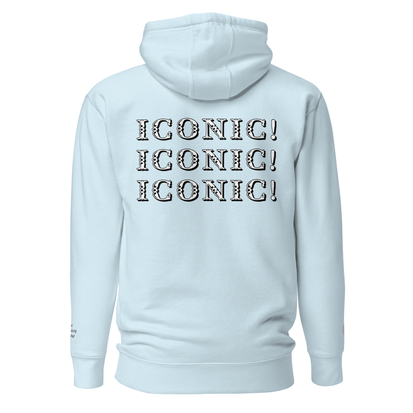 ”Becoming Iconic” Embroidered Hoodie