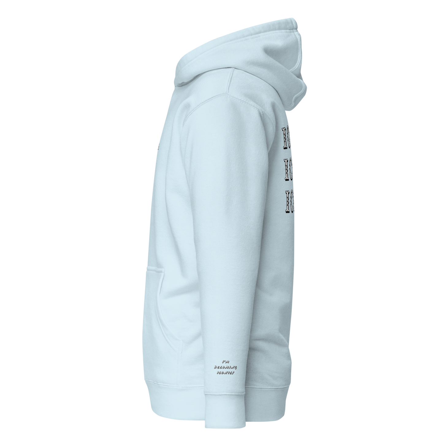 ”Becoming Iconic” Embroidered Hoodie
