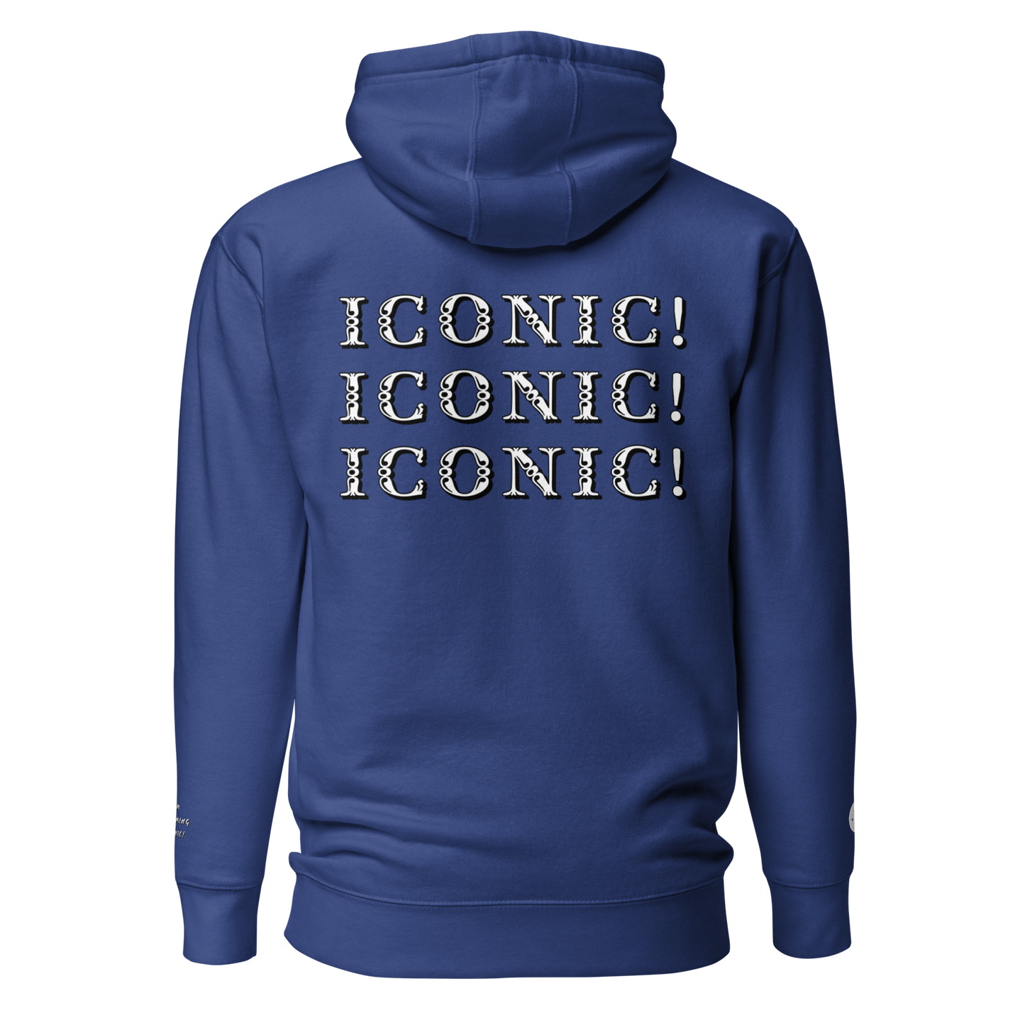 ”Becoming Iconic” Embroidered Hoodie