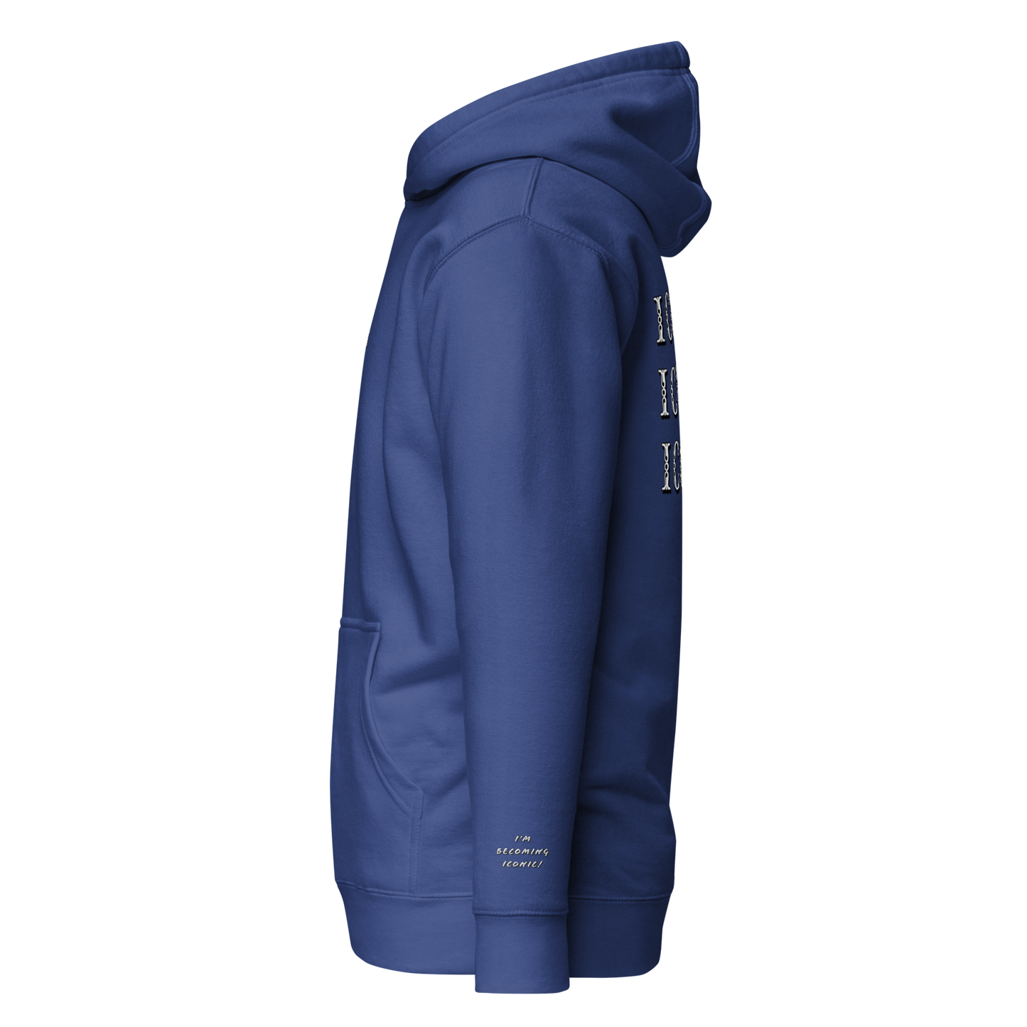 ”Becoming Iconic” Embroidered Hoodie