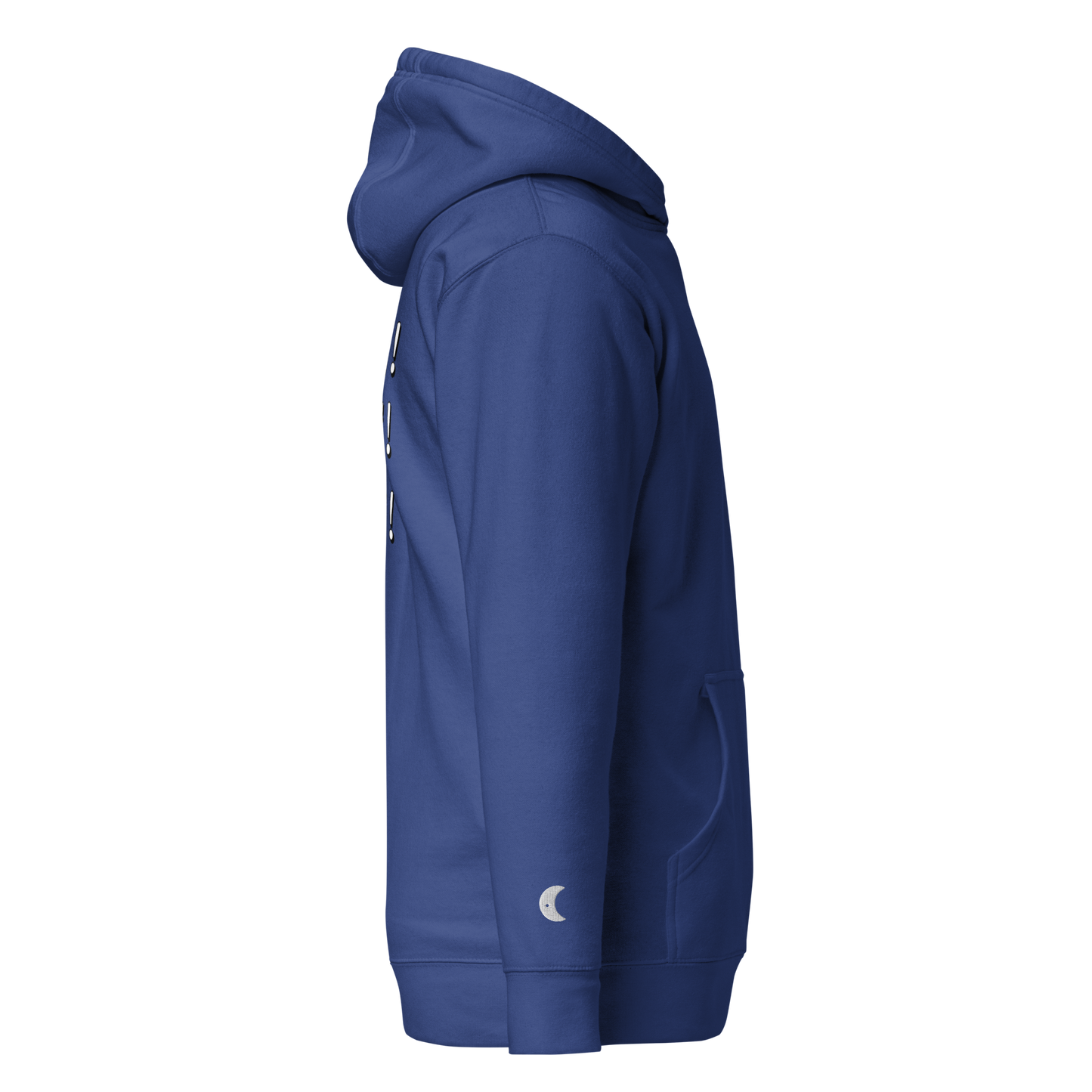 ”Becoming Iconic” Embroidered Hoodie