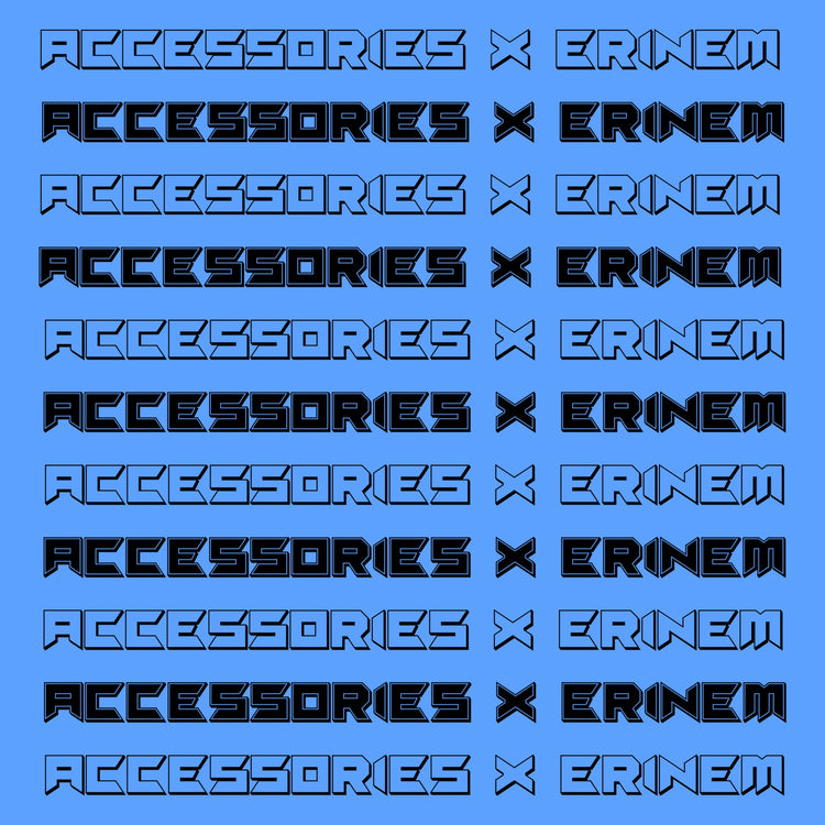 Accessories x Erinem